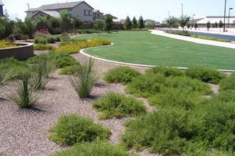 Landscape Management